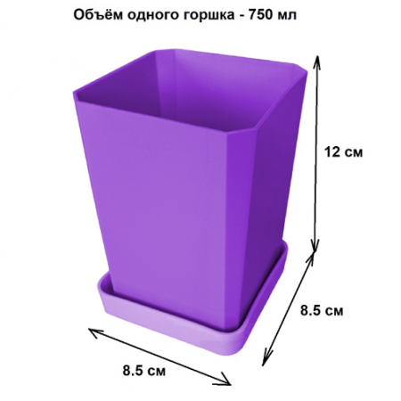 Набор горшков рассады 10х0,75л. фиолетовый с поддоном